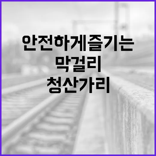청산가리 막걸리를 안전하게 즐기는 방법 - 요약