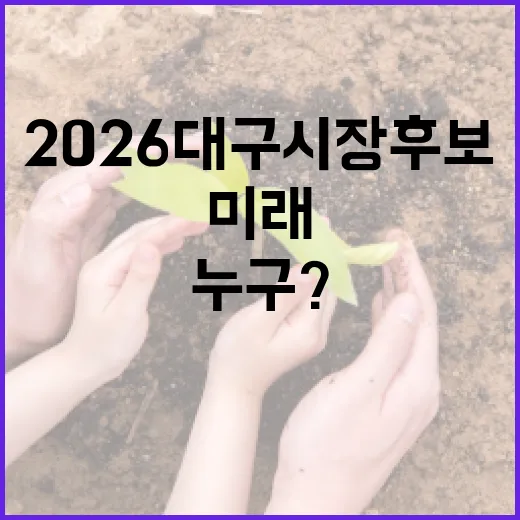 2026 대구시장 후보 알아보기: 미래를 이끌어 갈 인물은 누구? - 요약
