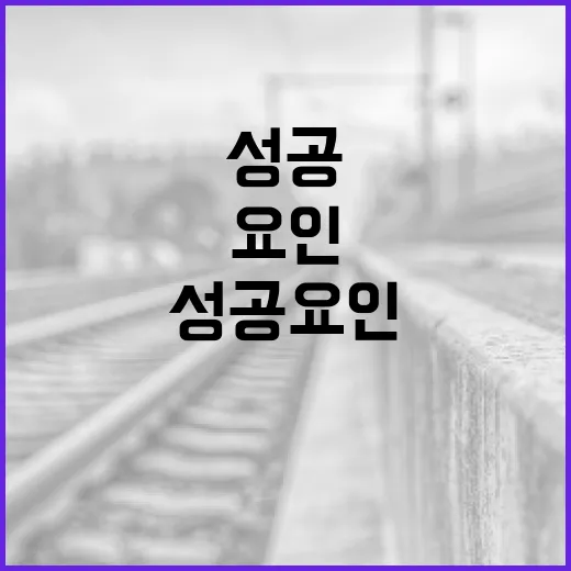 신태일을 이해하는 방법: 그의 매력과 성공 요인 - 요약