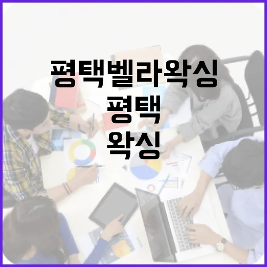 평택 벨라왁싱 서비스를 이용하는 방법 - 요약