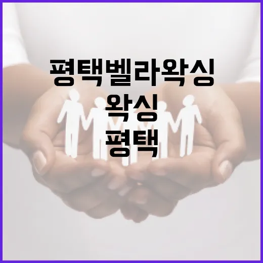 평택 벨라왁싱을 완벽하게 경험하는 방법 - 요약