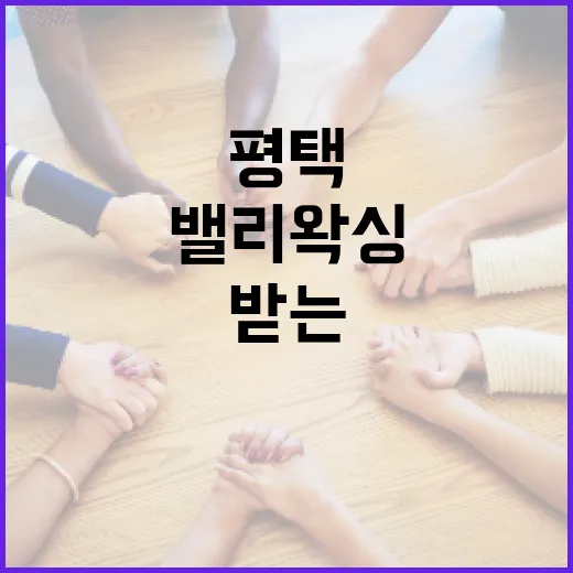 평택에서 밸리 왁싱을 받는 방법 - 요약