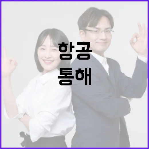 김동환 부기장을 통해 알아보는 항공 산업 이해하기 - 요약