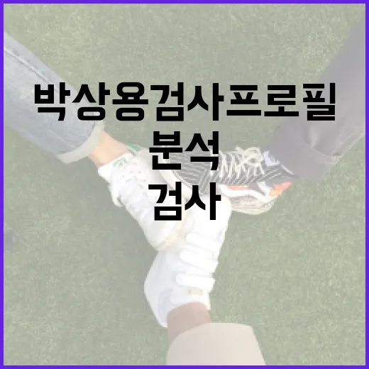 박상용 검사 프로필 분석하는 방법 - 요약