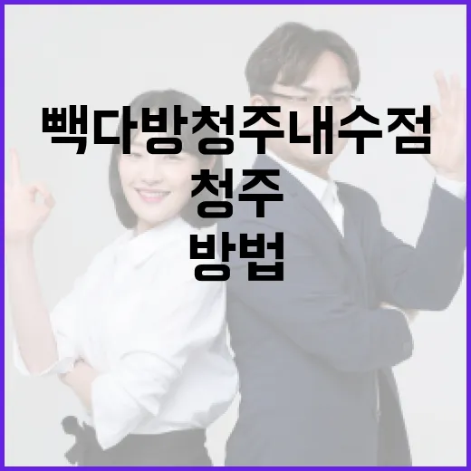 빽다방 청주 내수점을 즐기는 방법 - 요약