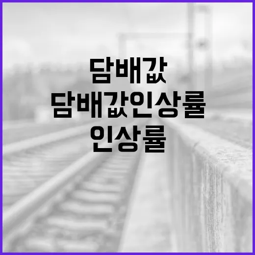 담배값 인상률을 이해하고 대처하는 방법 - 요약