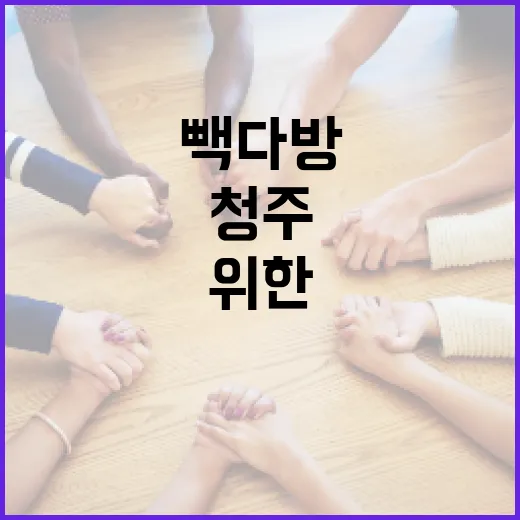 청주 빽다방을 즐기는 방법: 초보자를 위한 가이드 - 요약