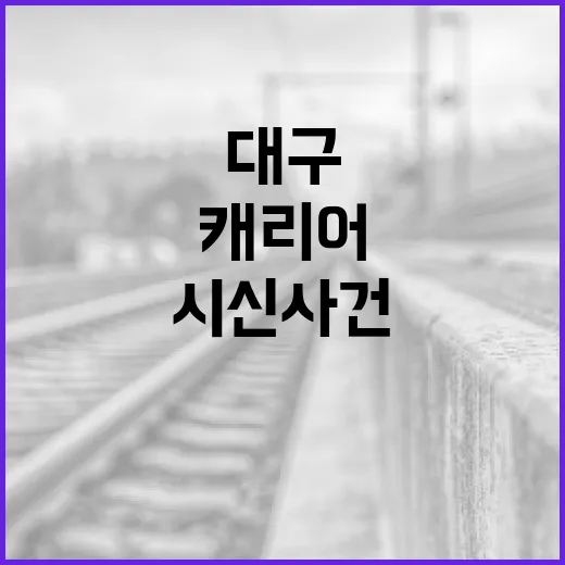 대구 캐리어 시신 사건을 이해하는 방법 - 요약