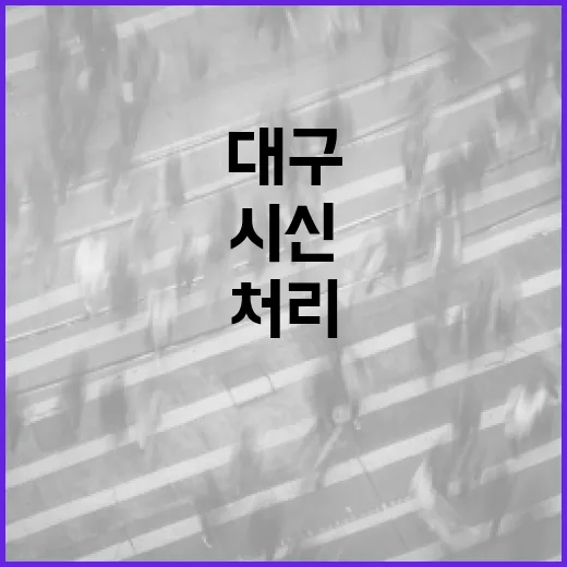 대구에서 케리어 시신 처리하는 방법 - 요약