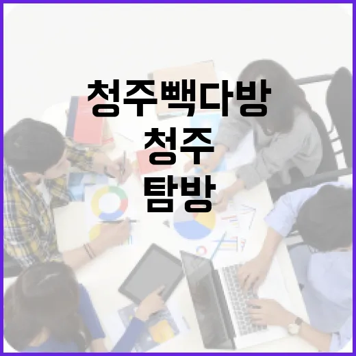 청주 빽다방에서 성공적인 카페 탐방을 하는 방법 - 요약