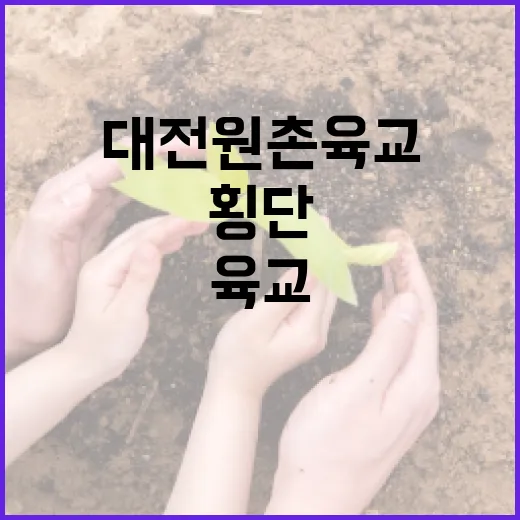 대전 원촌육교를 안전하게 횡단하는 방법 - 요약