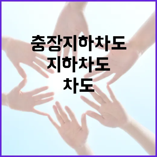 충장지하차도를 안전하게 이용하는 방법 - 요약