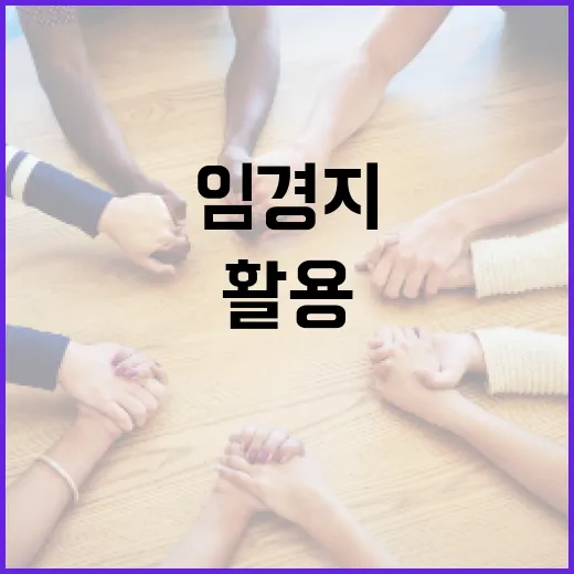 임경지를 이해하고 활용하는 방법 - 요약