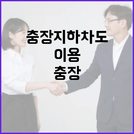 충장지하차도 안전하고 효율적으로 이용하는 방법 - 요약