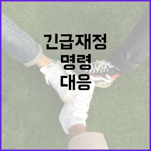 긴급재정명령을 이해하고 대응하는 방법 - 요약