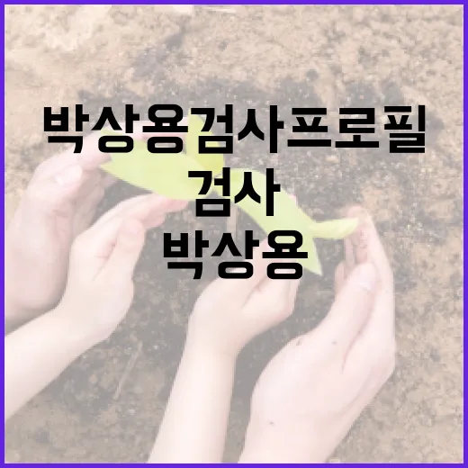 박상용 검사 프로필을 이해하는 방법 - 요약