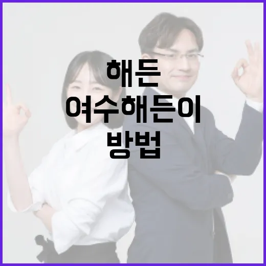 여수 해든이를 즐기는 방법 - 요약