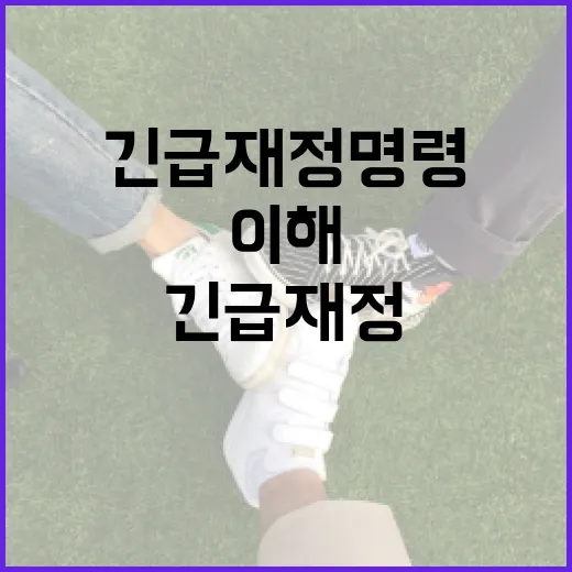 긴급재정명령을 이해하고 대처하는 방법 - 요약