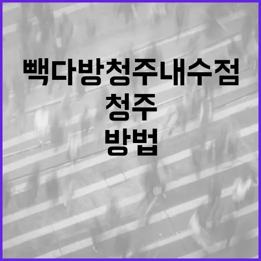 빽다방 청주내수점을 즐기는 방법 - 요약