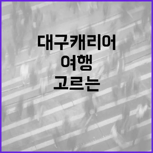 대구 캐리어 고르는 방법: 여행을 더 편안하게 - 요약