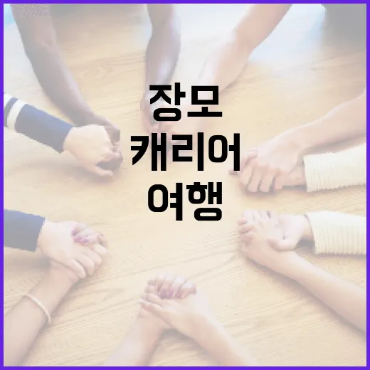 장모 캐리어 선택하는 방법: 여행을 더 편하게 - 요약