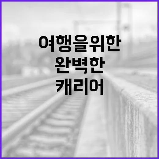 대구 캐리어를 선택하는 방법: 완벽한 여행을 위한 가이드 - 요약