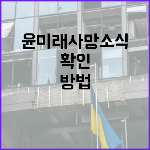 윤미래 사망 소식에 대한 사실을 확인하는 방법 - 요약