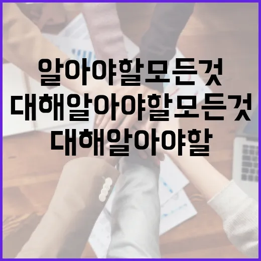 배우 윤세인에 대해 알아야 할 모든 것 - 요약