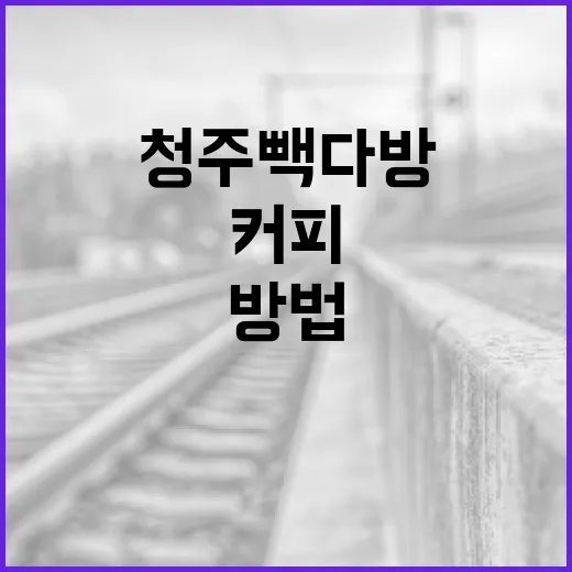 청주 빽다방에서 커피를 즐기는 방법 - 요약