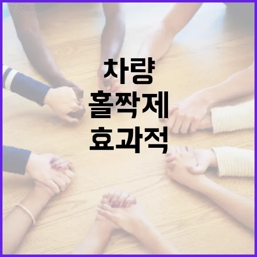 차량 홀짝제를 이해…