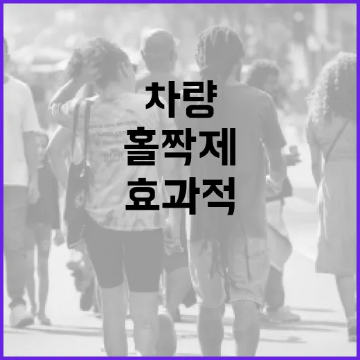 차량 홀짝제를 이해하고 효과적으로 활용하는 방법 - 요약