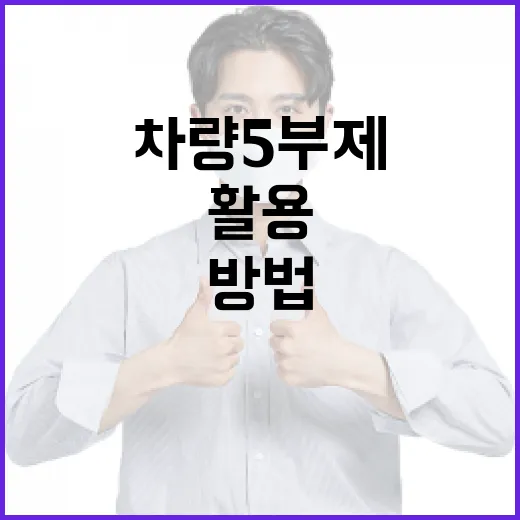 차량5부제를 성공적으로 활용하는 방법 - 요약