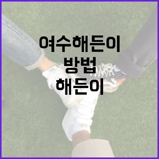 여수 해든이를 제대로 즐기는 방법 - 요약