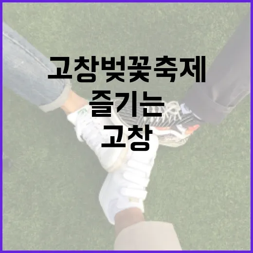 고창 벚꽃축제를 즐기는 방법 - 요약
