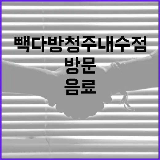 빽다방 청주내수점에서 꼭 맛봐야 할 음료와 방문 꿀팁 - 요약