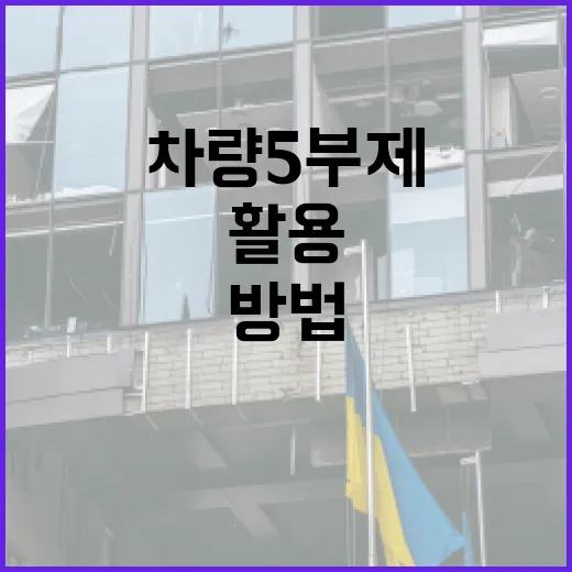 차량5부제를 효과적으로 활용하는 방법 - 요약