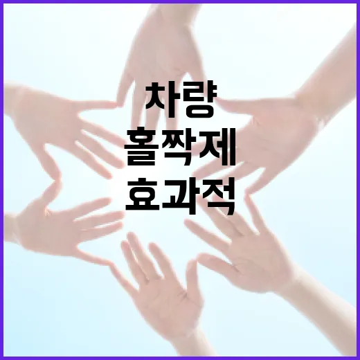 차량 홀짝제를 이해하고 효과적으로 활용하는 방법 - 요약