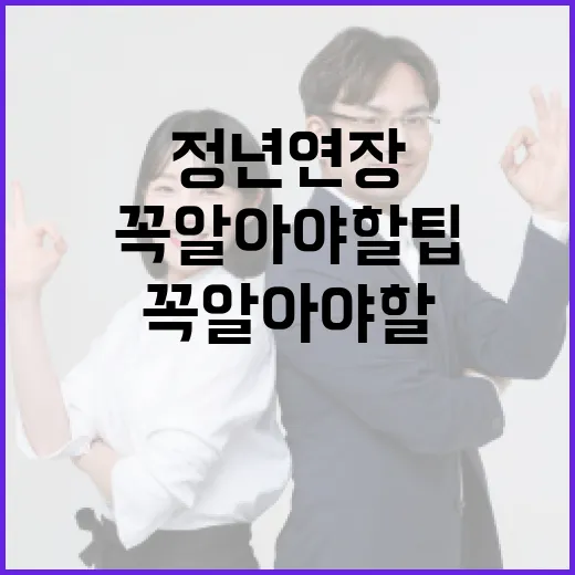 정년연장을 준비하는 방법: 꼭 알아야 할 팁 - 요약