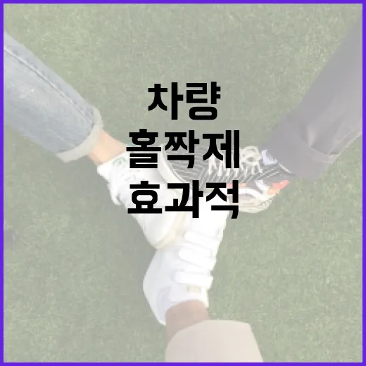 차량 홀짝제를 이해…