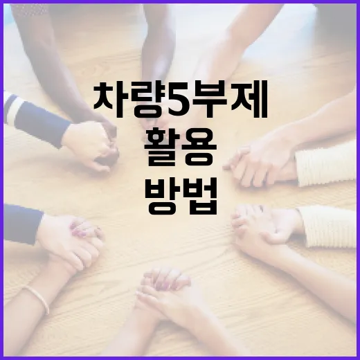 차량 5부제를 이해하고 활용하는 방법 - 요약