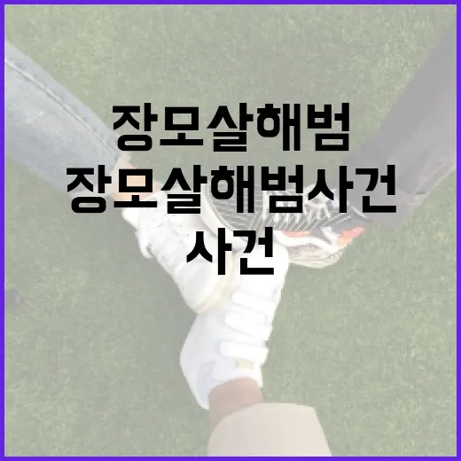 장모살해범 사건을 이해하는 방법 - 요약