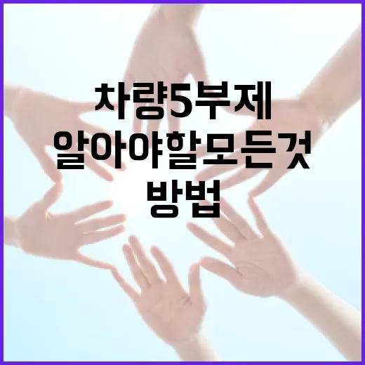 차량5부제에 대해 알아야 할 모든 것: 효과적인 활용 방법 - 요약