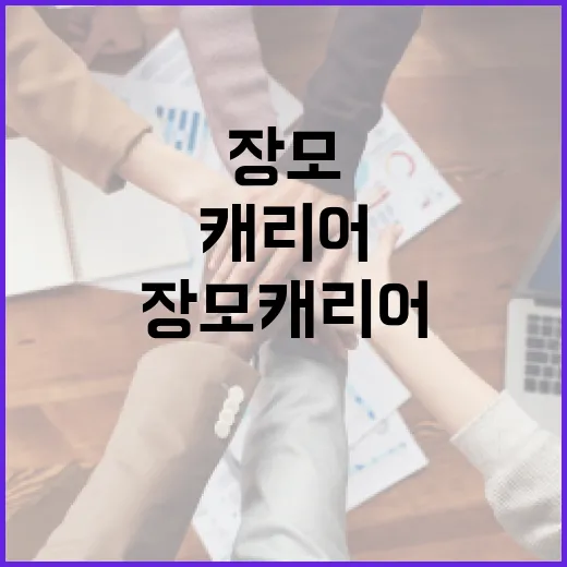 장모 캐리어 선택 및 활용 방법 - 요약