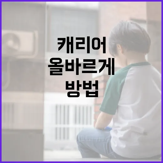 장모 캐리어를 올바르게 고르는 방법 - 요약