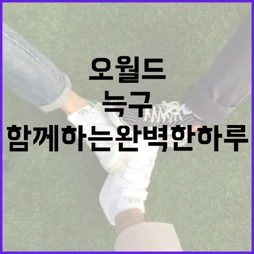 오월드 늑구를 즐기는 방법: 가족과 함께하는 완벽한 하루 - 요약