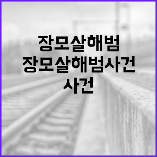 장모살해범 사건을 이해하는 방법 - 요약