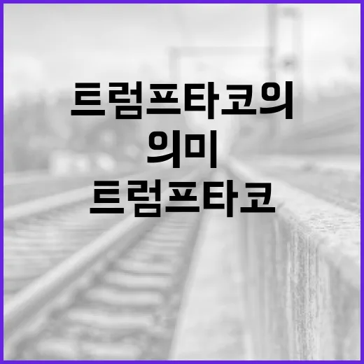 트럼프 타코의 의미를 이해하는 방법 - 요약