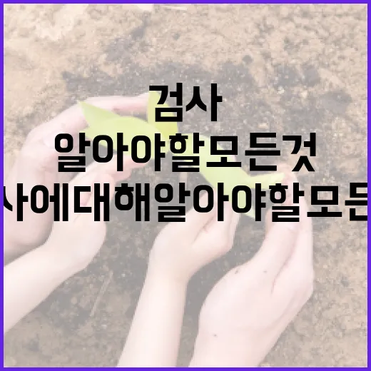 정용환 검사에 대해 알아야 할 모든 것 - 요약