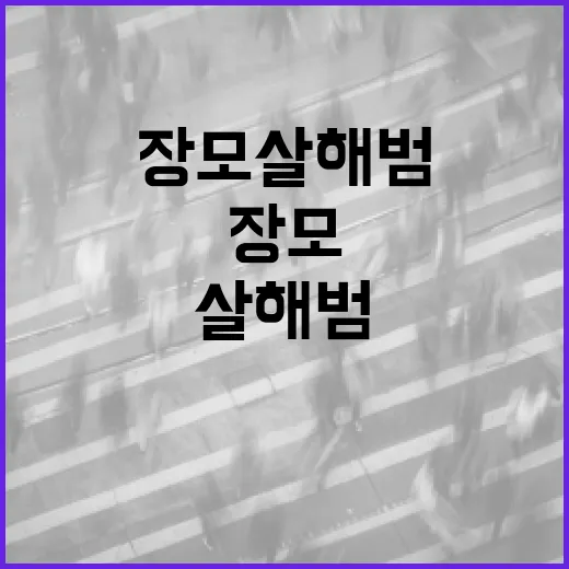 장모살해범을 이해하는 방법: 심리와 법적 대응 - 요약