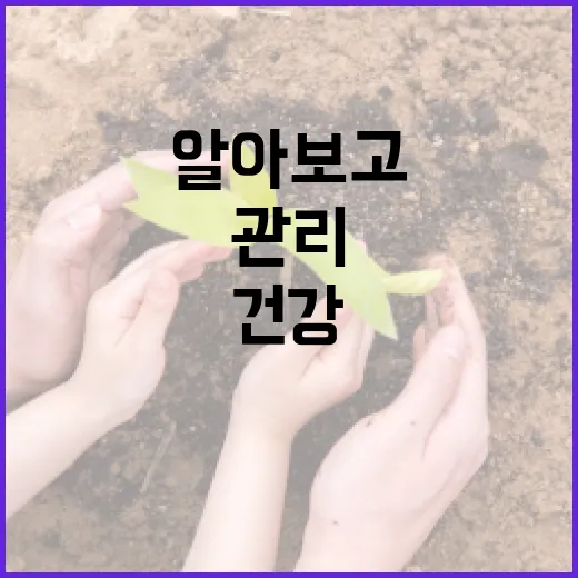 시도상선에 대해 알아보고 건강하게 관리하는 방법 - 요약